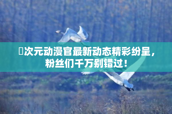 囧次元动漫官最新动态精彩纷呈，粉丝们千万别错过！
