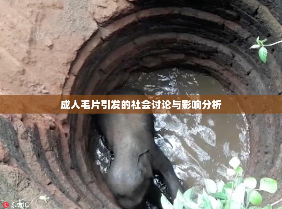 成人毛片引发的社会讨论与影响分析