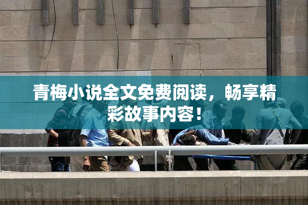 青梅小说全文免费阅读，畅享精彩故事内容！