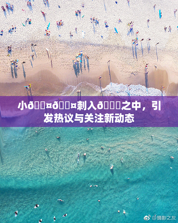 小🐤🐤刺入🍑之中，引发热议与关注新动态