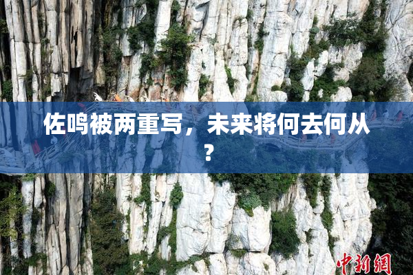 佐鸣被两重写，未来将何去何从？