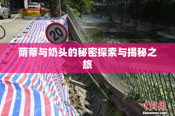 荫蒂与奶头的秘密探索与揭秘之旅