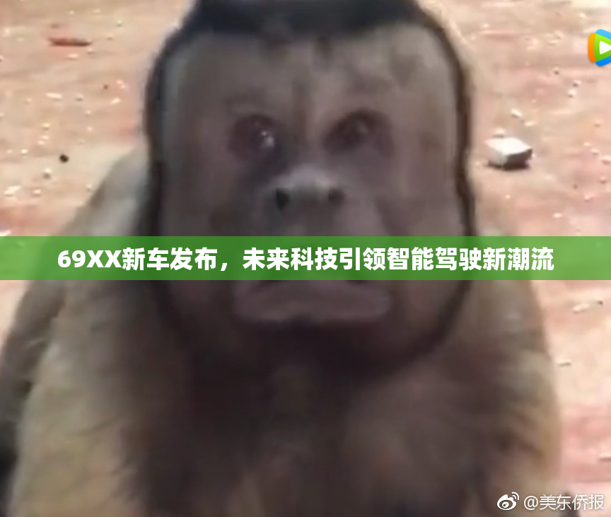 69XX新车发布，未来科技引领智能驾驶新潮流