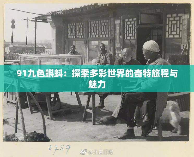 91九色蝌蚪：探索多彩世界的奇特旅程与魅力