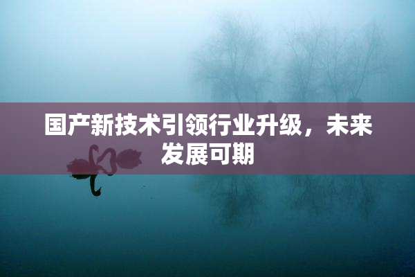 国产新技术引领行业升级，未来发展可期