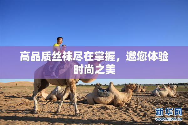 高品质丝袜尽在掌握，邀您体验时尚之美