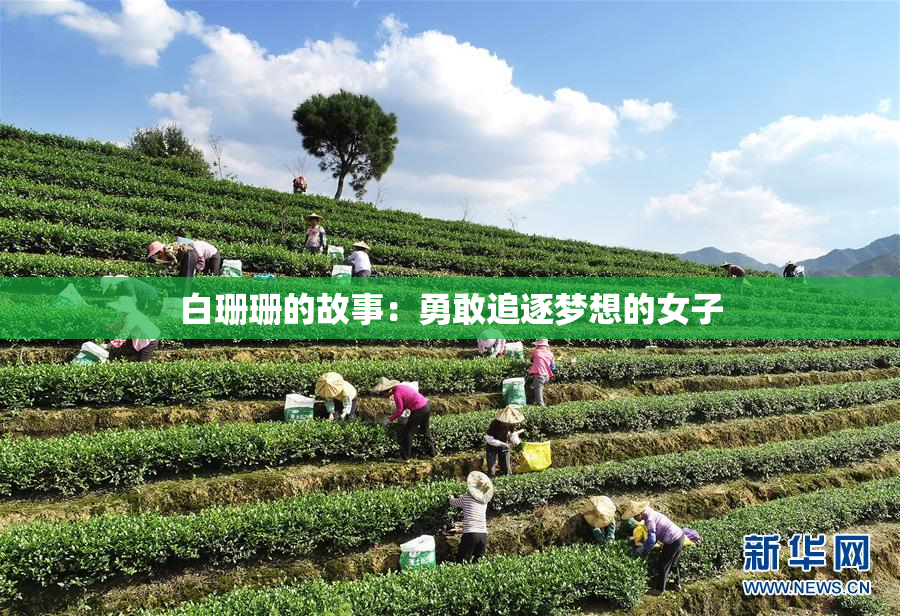 白珊珊的故事：勇敢追逐梦想的女子