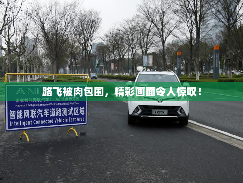路飞被肉包围，精彩画面令人惊叹！