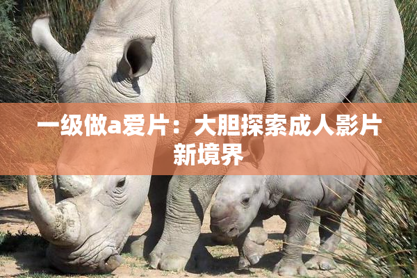 一级做a爱片：大胆探索成人影片新境界