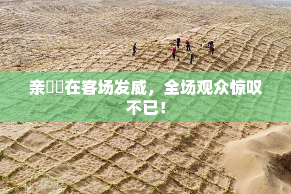 亲妺妺在客场发威，全场观众惊叹不已！