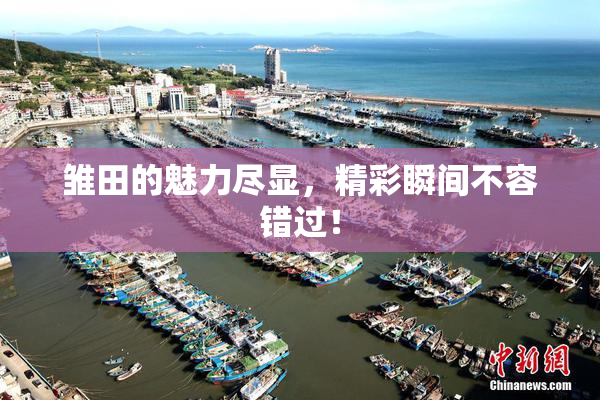 雏田的魅力尽显，精彩瞬间不容错过！