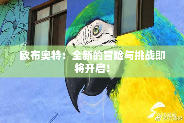 欧布奥特：全新的冒险与挑战即将开启！