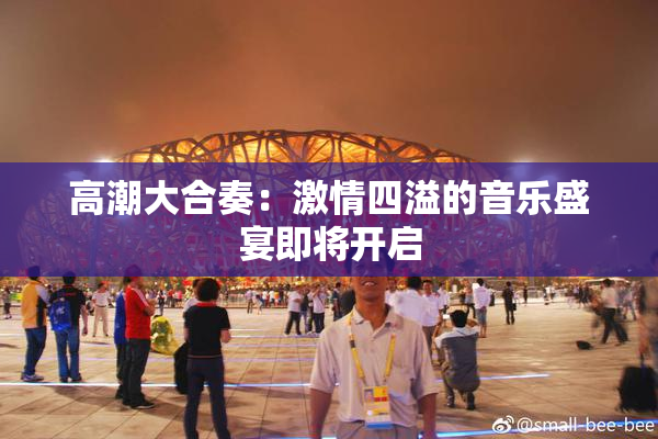 高潮大合奏：激情四溢的音乐盛宴即将开启