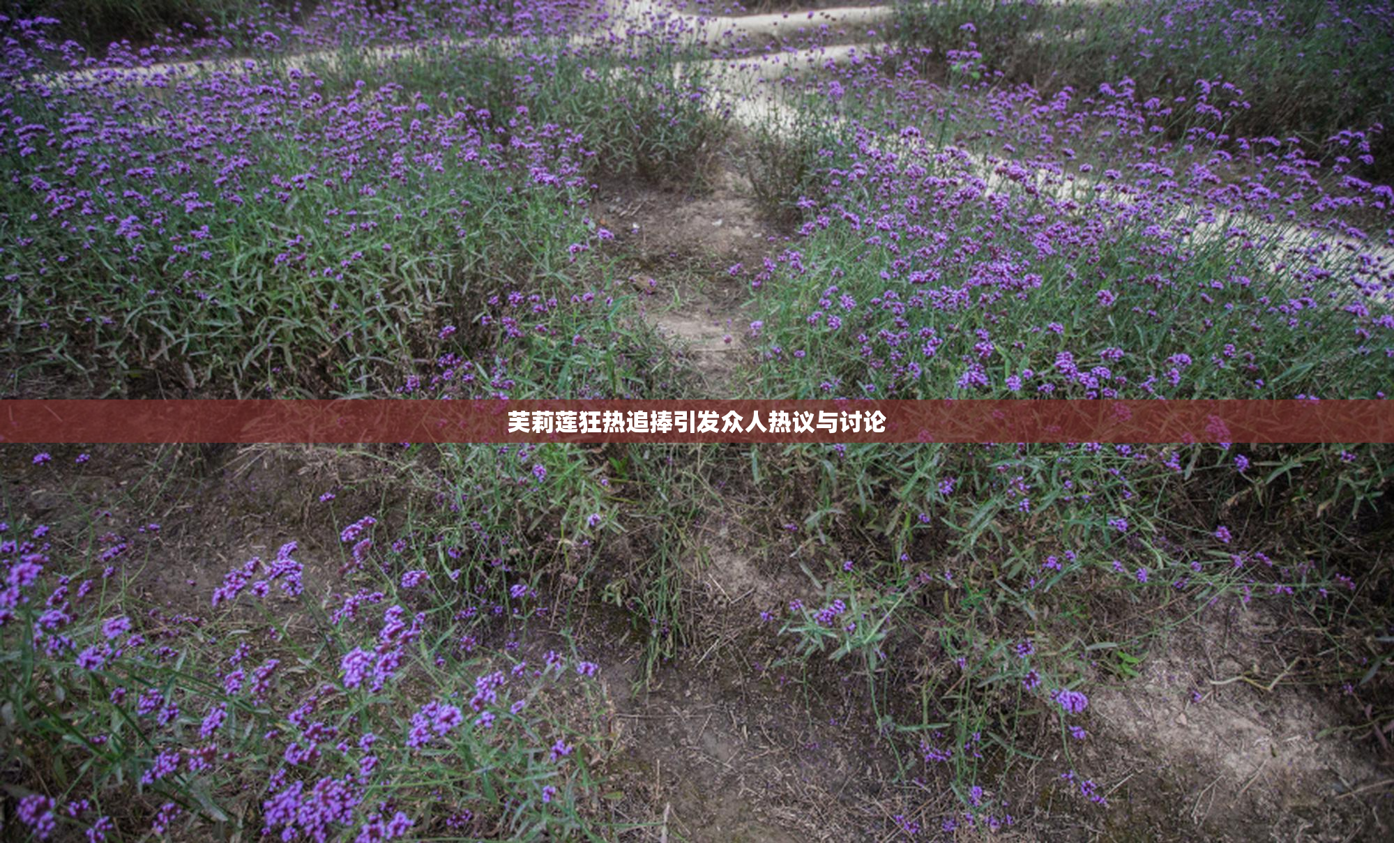 芙莉莲狂热追捧引发众人热议与讨论