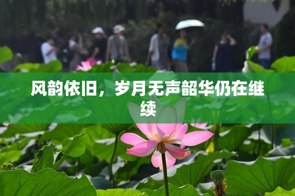 风韵依旧，岁月无声韶华仍在继续
