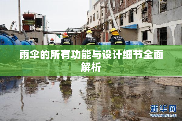 雨伞的所有功能与设计细节全面解析