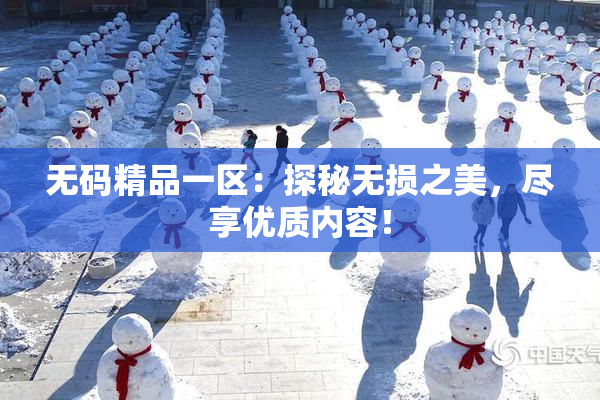 无码精品一区：探秘无损之美，尽享优质内容！