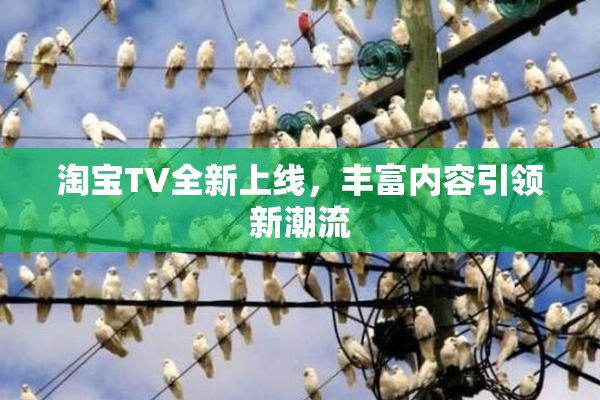 淘宝TV全新上线，丰富内容引领新潮流