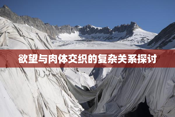 欲望与肉体交织的复杂关系探讨