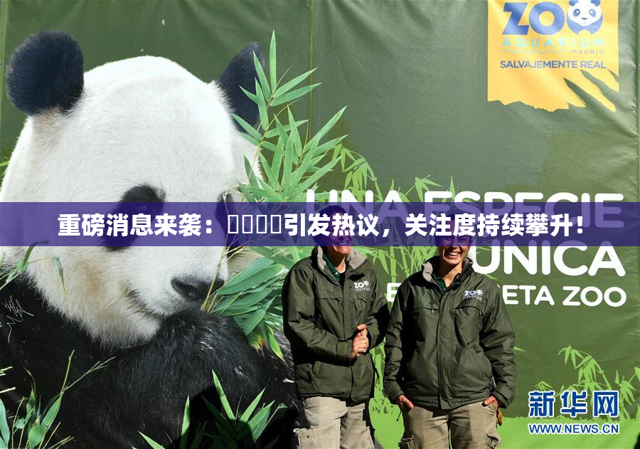 重磅消息来袭：馃悢馃悢引发热议，关注度持续攀升！