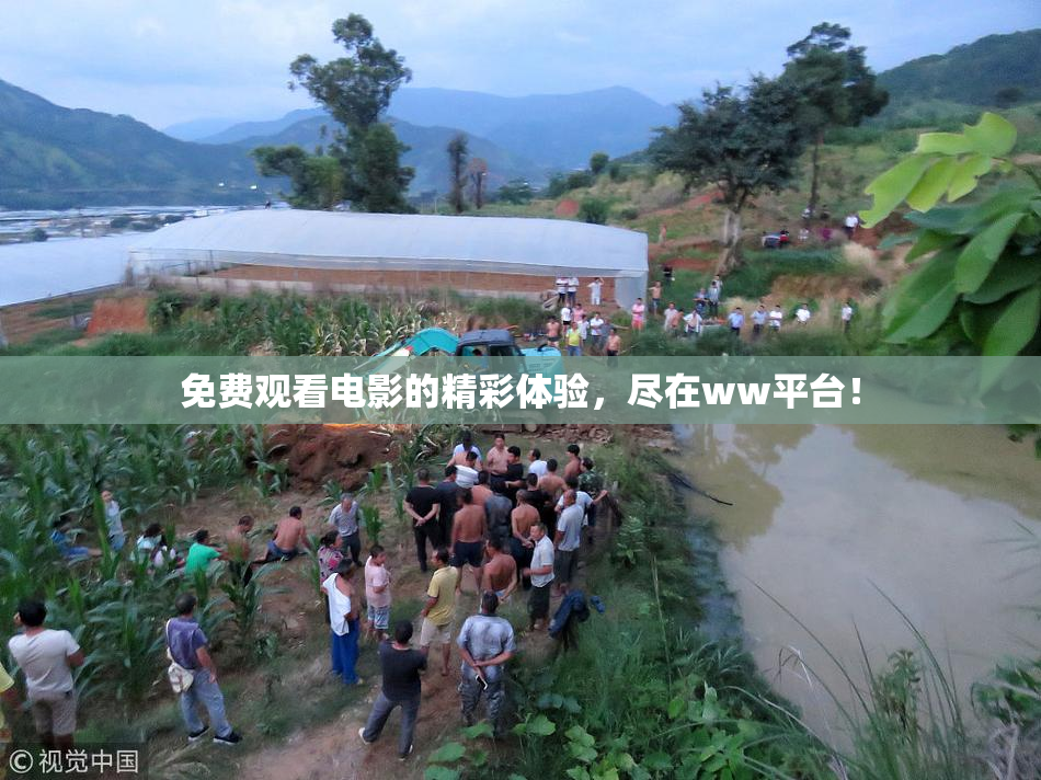 免费观看电影的精彩体验，尽在ww平台！