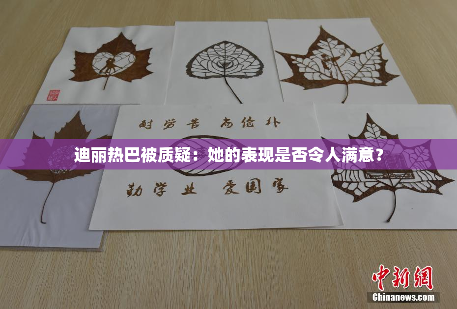迪丽热巴被质疑：她的表现是否令人满意？