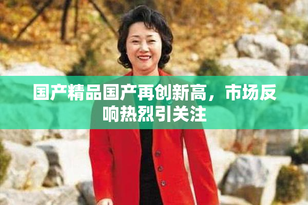 国产精品国产再创新高，市场反响热烈引关注