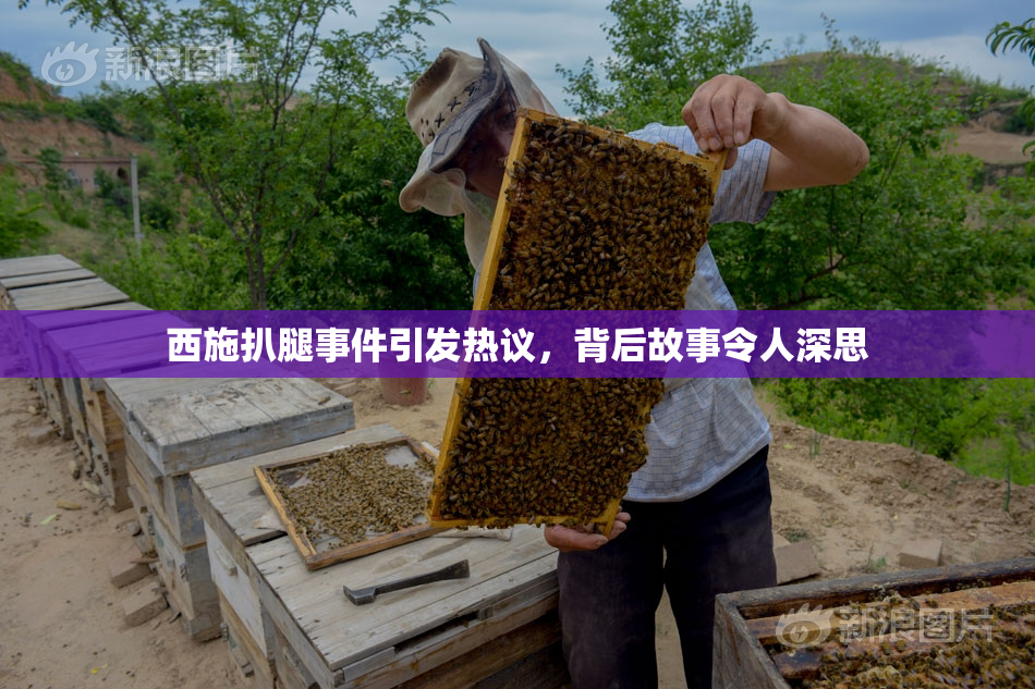 西施扒腿事件引发热议，背后故事令人深思