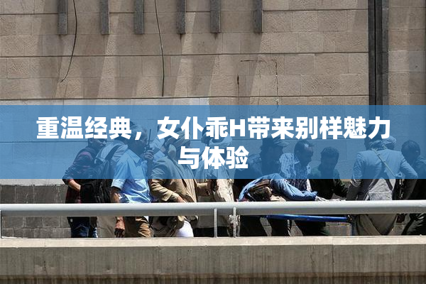 重温经典，女仆乖H带来别样魅力与体验