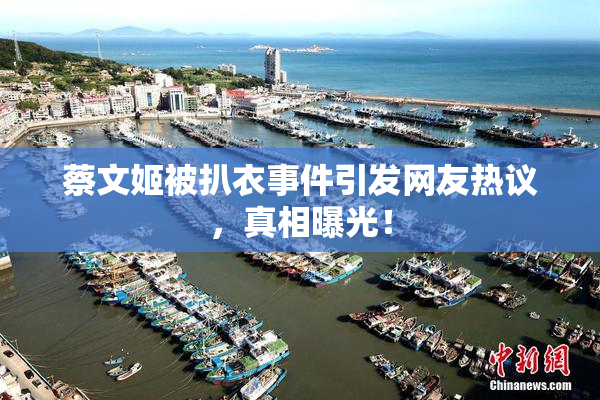 蔡文姬被扒衣事件引发网友热议，真相曝光！
