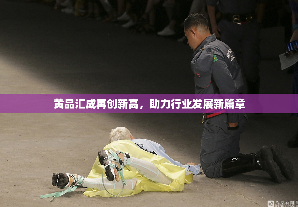 黄品汇成再创新高，助力行业发展新篇章