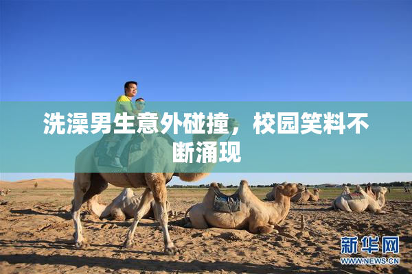 洗澡男生意外碰撞，校园笑料不断涌现