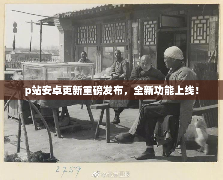 p站安卓更新重磅发布，全新功能上线！