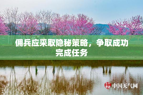 佣兵应采取隐秘策略，争取成功完成任务
