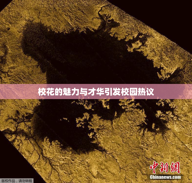 校花的魅力与才华引发校园热议