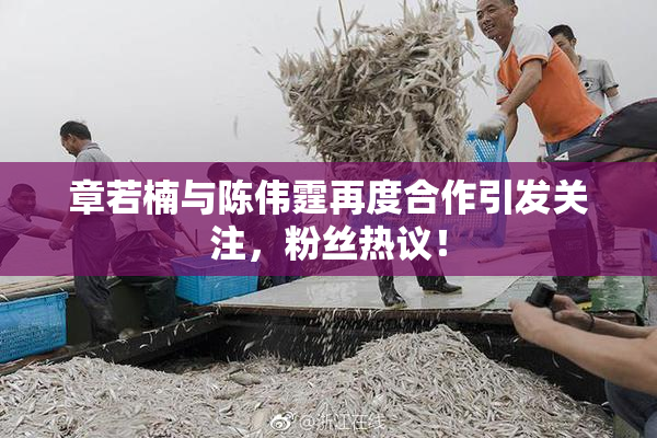章若楠与陈伟霆再度合作引发关注，粉丝热议！