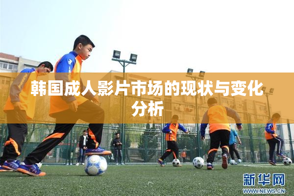 韩国成人影片市场的现状与变化分析