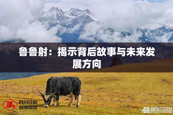 鲁鲁射：揭示背后故事与未来发展方向