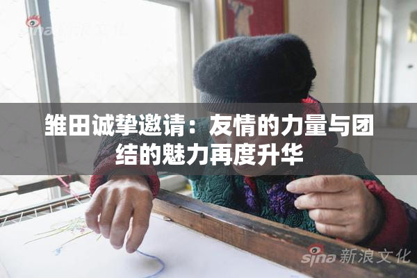 雏田诚挚邀请：友情的力量与团结的魅力再度升华