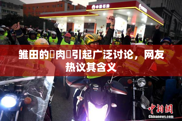 雏田的婬肉泬引起广泛讨论，网友热议其含义