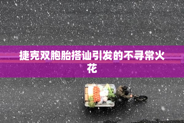 捷克双胞胎搭讪引发的不寻常火花
