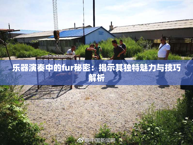 乐器演奏中的fur秘密：揭示其独特魅力与技巧解析