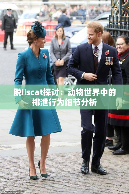 脱糞scat探讨：动物世界中的排泄行为细节分析