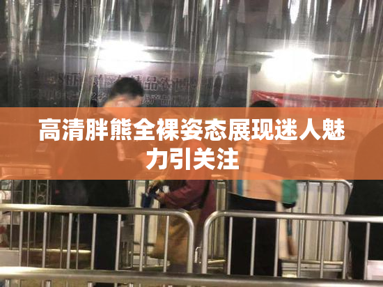 高清胖熊全裸姿态展现迷人魅力引关注