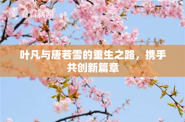 叶凡与唐若雪的重生之路，携手共创新篇章