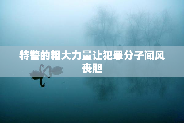 特警的粗大力量让犯罪分子闻风丧胆