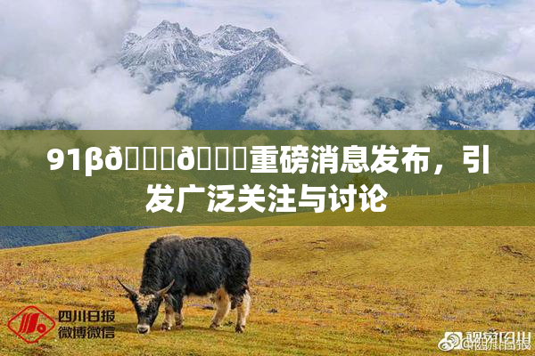 91β🍆🍆重磅消息发布，引发广泛关注与讨论