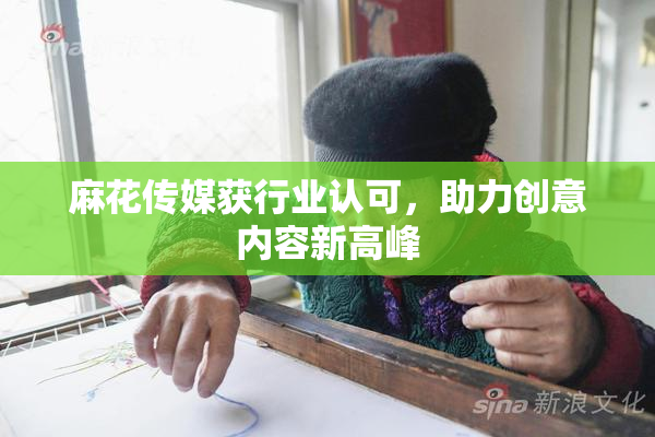 麻花传媒获行业认可，助力创意内容新高峰
