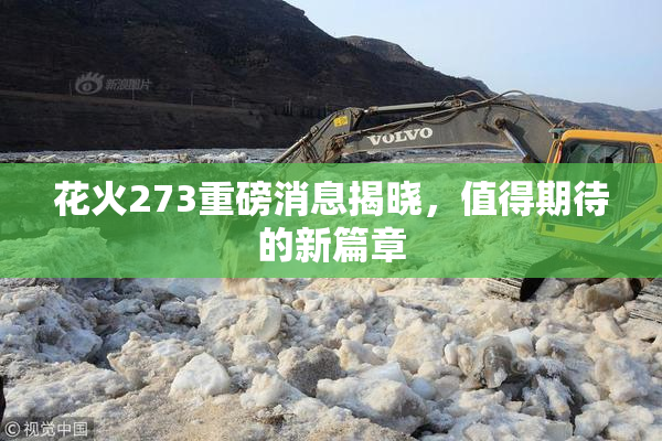 花火273重磅消息揭晓，值得期待的新篇章