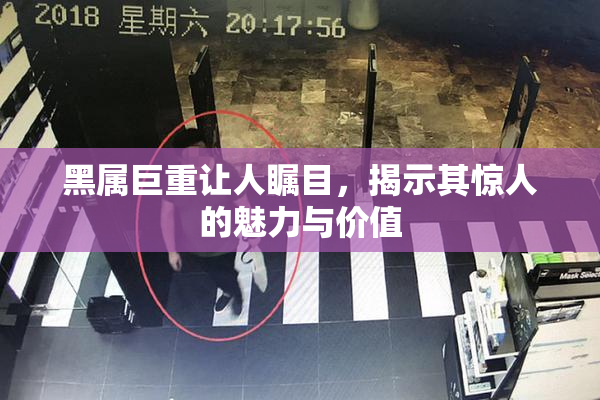 黑属巨重让人瞩目，揭示其惊人的魅力与价值